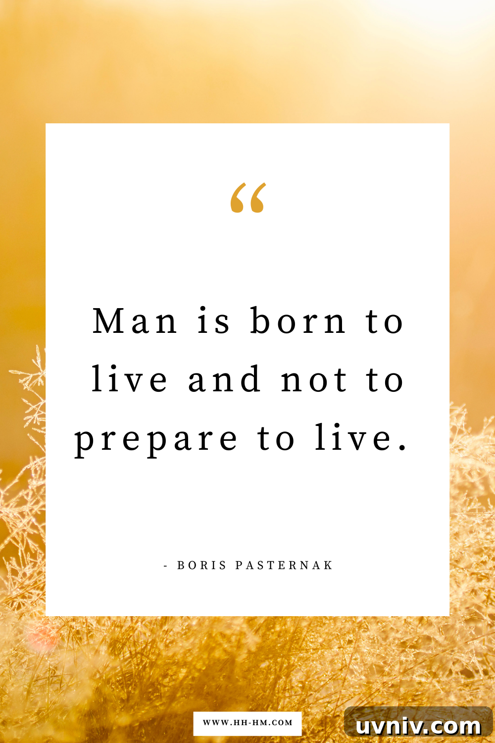 170+ Short Inspirational Quotes About Life for Daily Motivation 29 "Man is born to live and not to prepare to live." — Boris Pasternak | Short life quotes | inspirational quotes about life