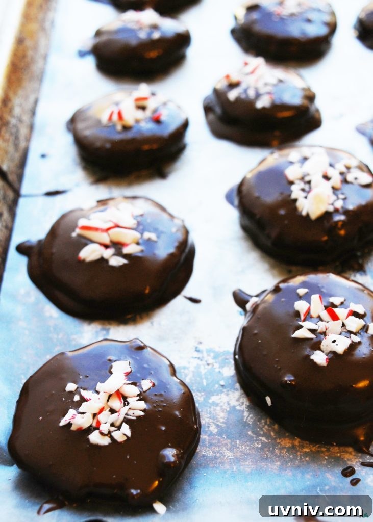 17 Gluten-Free Vegan Christmas Baking Recipes for Holiday Treats 17 Dairy-free Homemade Peppermint Patties (Gluten, dairy, egg, soy, peanut & tree nut free; top 8 free and vegan) Holiday dessert recipe by AllergyAwesomeness.com