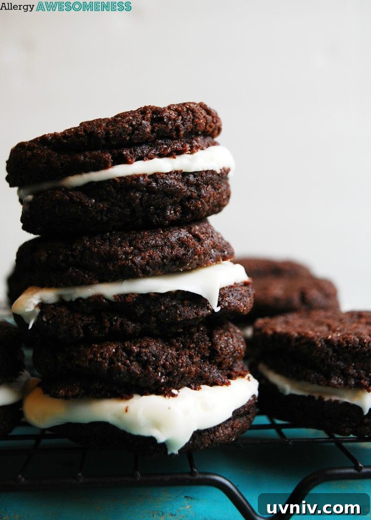 17 Gluten-Free Vegan Christmas Baking Recipes for Holiday Treats 18 Allergy-friendly Homemade Oreo Recipe by AllergyAwesomeness.com