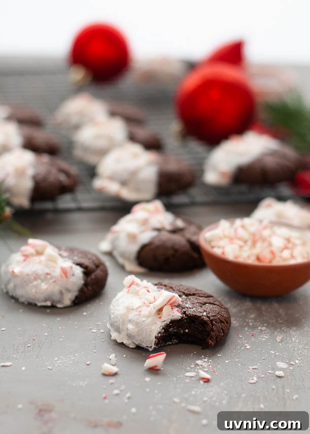 17 Gluten-Free Vegan Christmas Baking Recipes for Holiday Treats 20 gluten-free-vegan-beautiful-white-chocolate-dipped-peppermint-cookies-for-christmas-cookie-plates