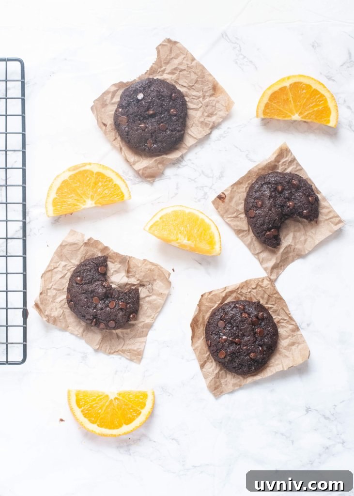 17 Gluten-Free Vegan Christmas Baking Recipes for Holiday Treats 9 allergy-friendly.chocolate.orange.cookies