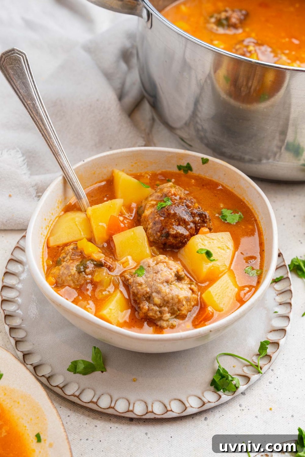 Cajun meatball stew in a ceramic bowl on a ceramic plate. The stew is garnished with fresh parsley and there is a spoon inside the bowl. The plate is on a white counter with a large pot of stew and white napkin.