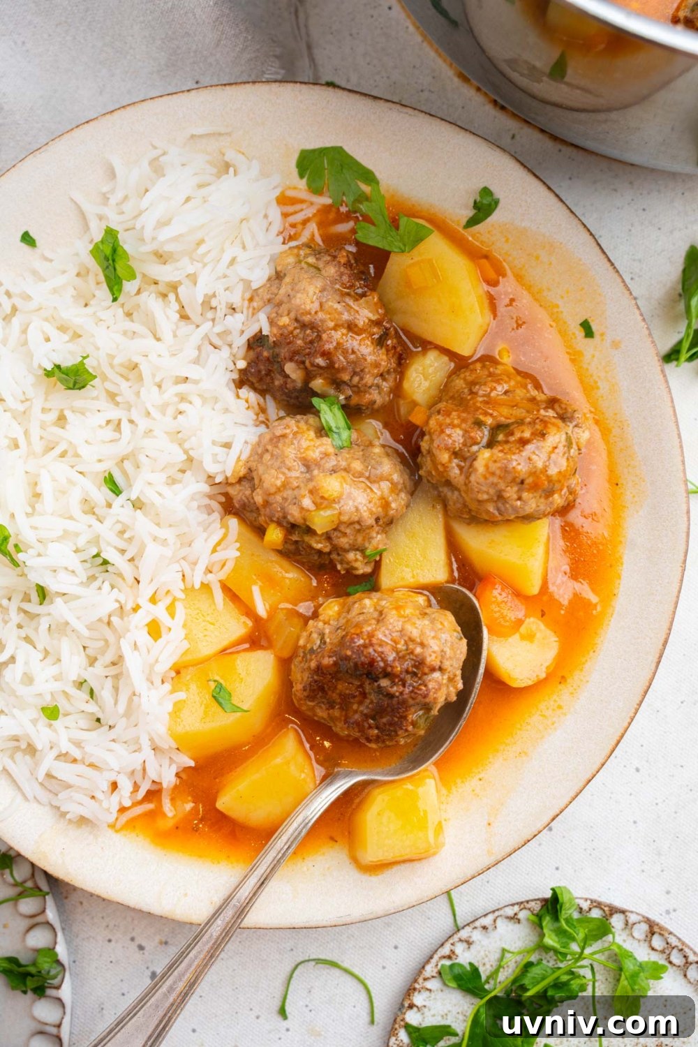 A shallow ceramic plate with cajun meatball stew served with white rice and garnished with fresh parsley. There is a spoon scooping a meatball from the plate. The plate is on a white counter with a small plate of garnishes.