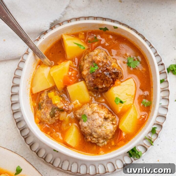 Cajun meatball stew in a ceramic bowl on a ceramic plate. The stew is garnished with fresh parsley and there is a spoon inside the bowl. The plate is on a white counter with an additional plate of stew.