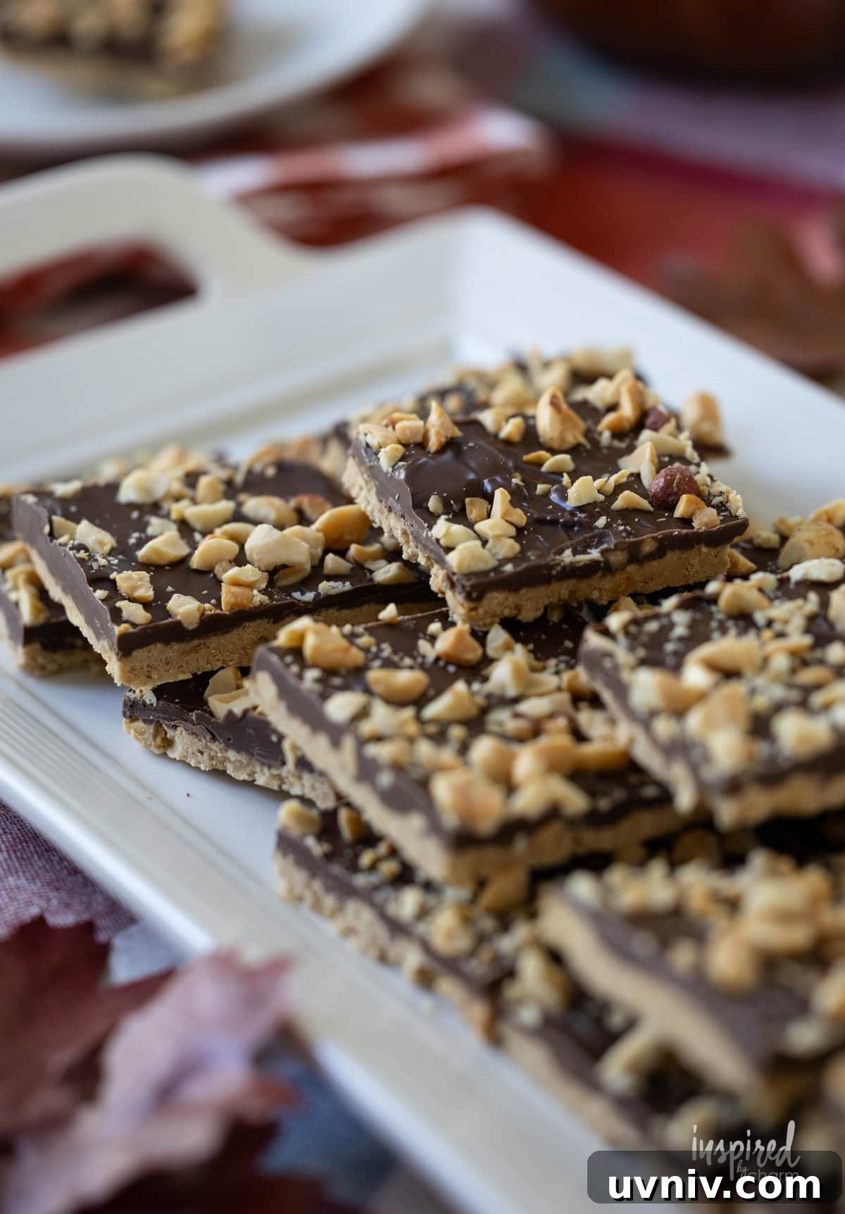Homemade Chocolate Peanut Butter Candy Recipes & Tips 2 chocolate peanut butter candy on a plate.
