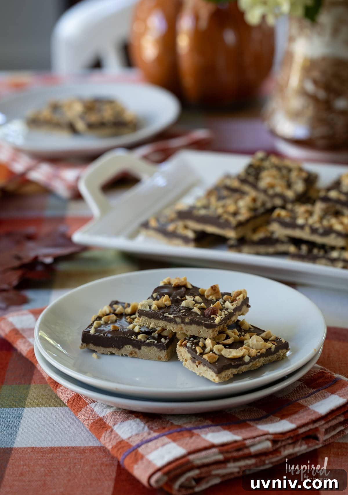 Homemade Chocolate Peanut Butter Candy Recipes & Tips 10 chocolate peanut butter candy on plates on a fall decorated table.