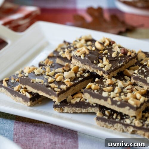 Homemade Chocolate Peanut Butter Candy Recipes & Tips 11 small plate with chocolate peanut butter candies on them.