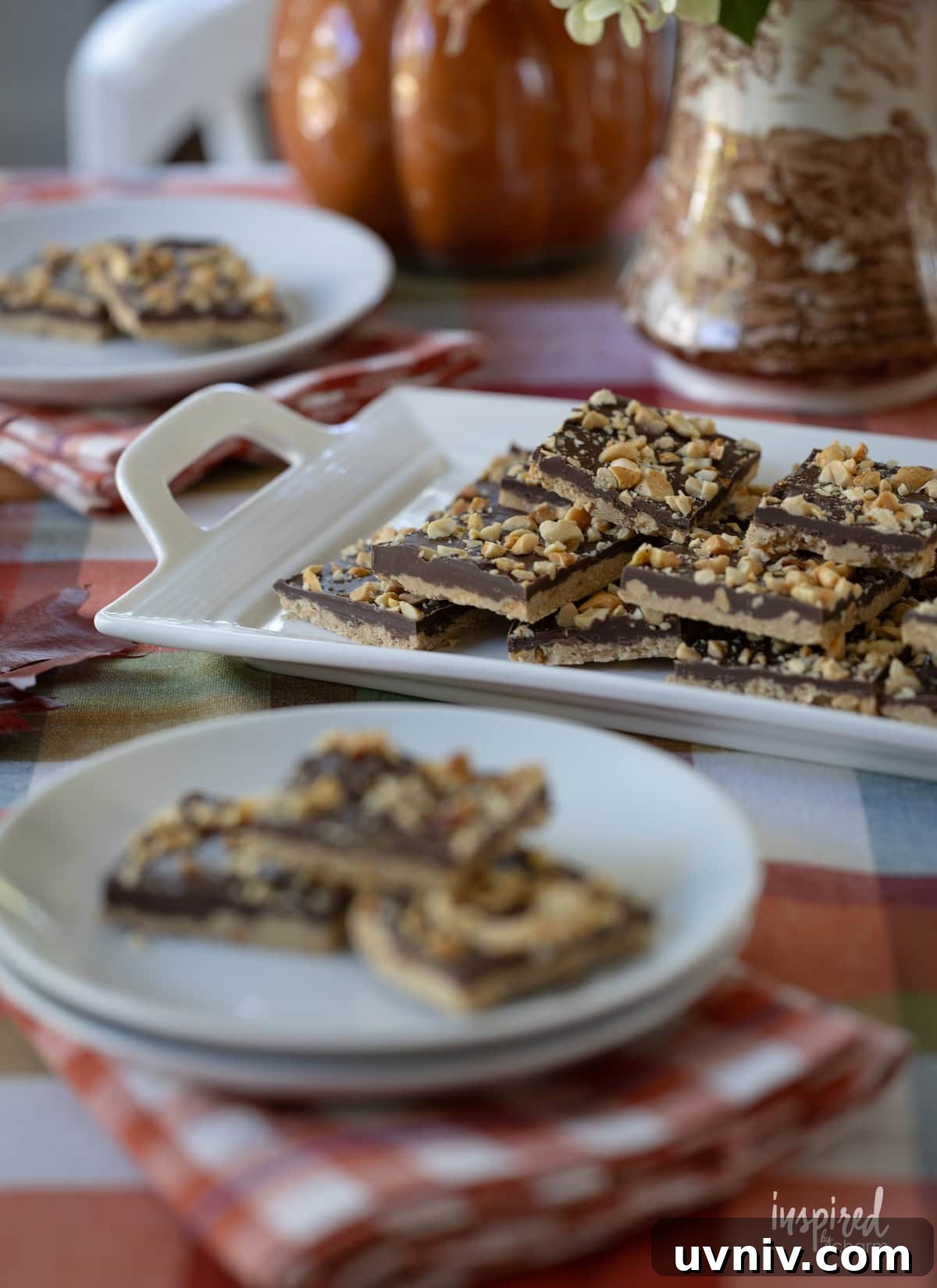 Homemade Chocolate Peanut Butter Candy Recipes & Tips 5 plated with chocolate peanut butter candy.