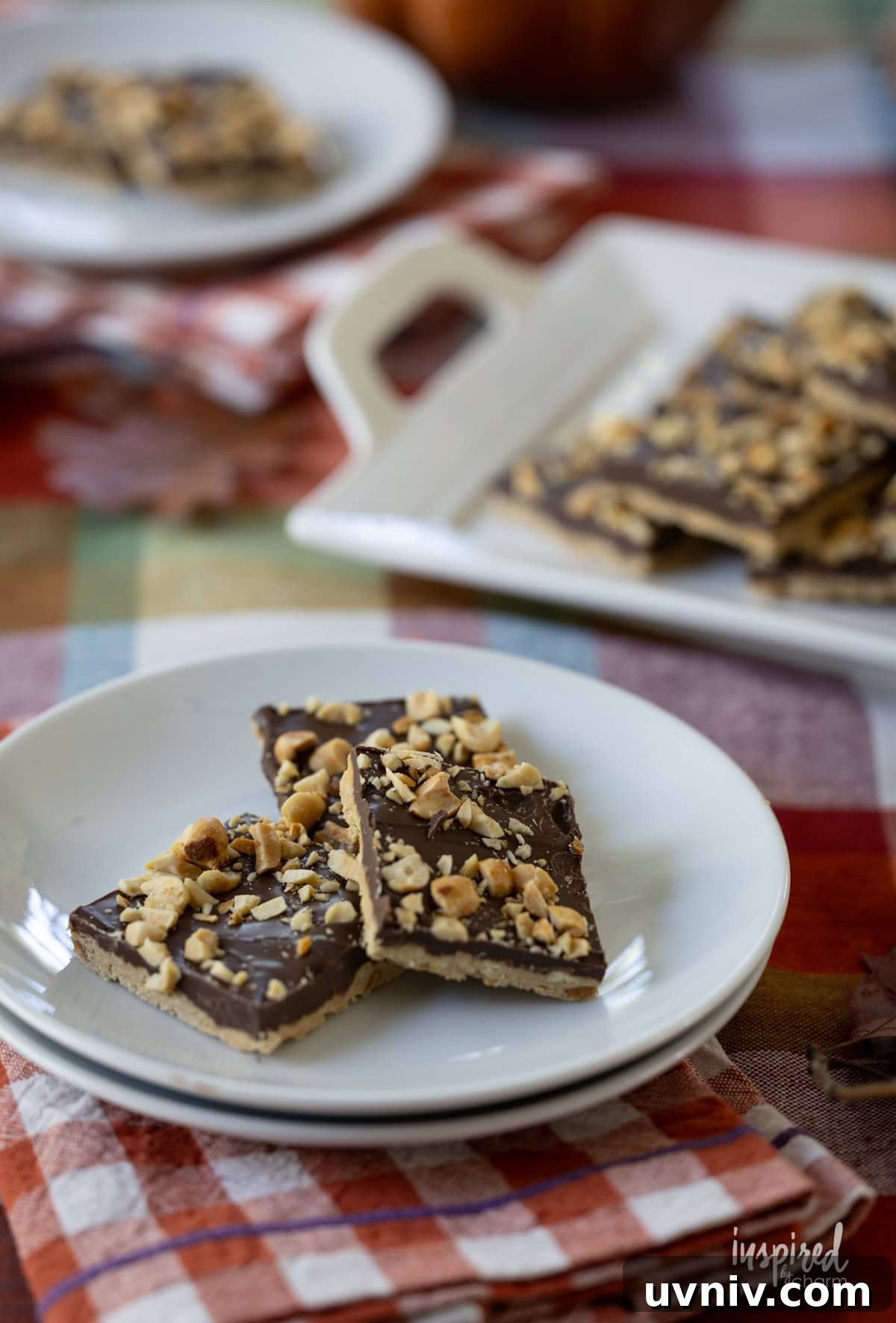 Homemade Chocolate Peanut Butter Candy Recipes & Tips 7 chocolate and peanut butter candy squares served on plates.