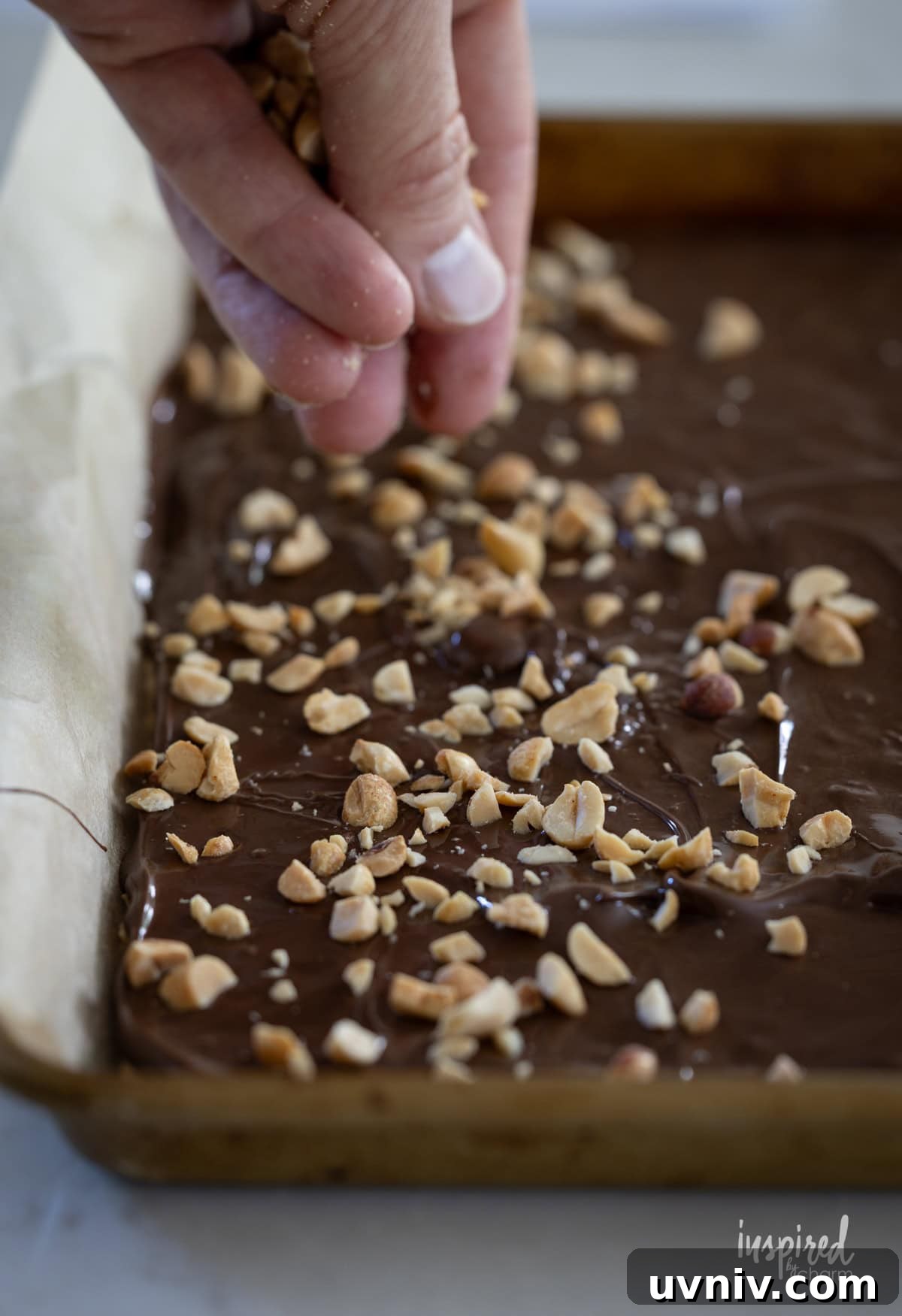 Homemade Chocolate Peanut Butter Candy Recipes & Tips 9 hand spreading peanuts on chocolate.