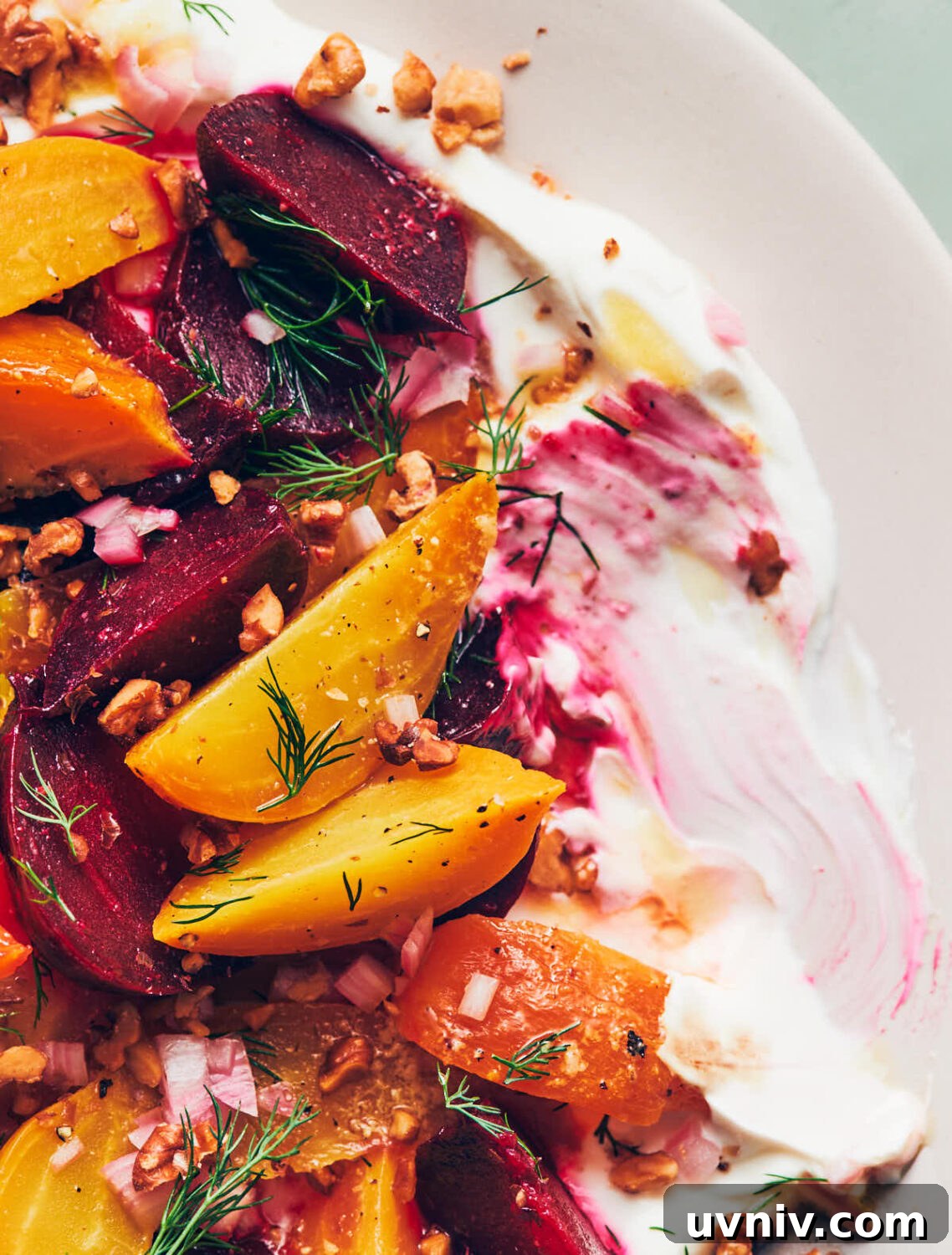 Roasted Beet and Labneh Salad with Mint and Pistachios 11 Close up of roasted red and yellow beets on top of labneh, garnished with dill, walnuts and shallots