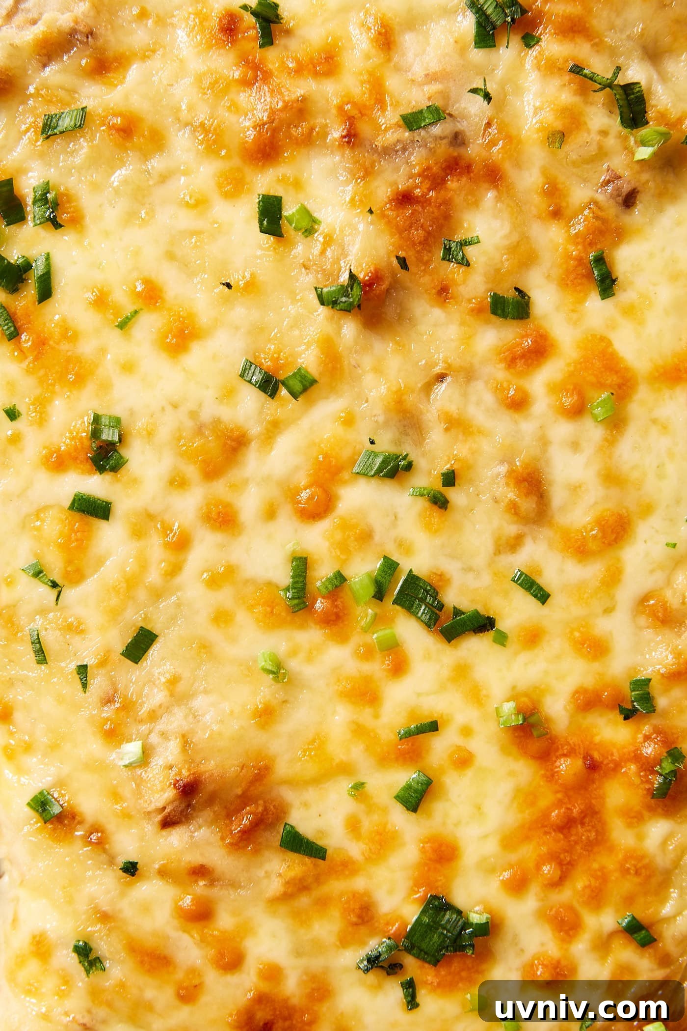 French Onion Potato Casserole Recipe with Melty Cheese 18 Bubbly cheese texture on top of French onion potato casserole with sprinkles of chopped parsley.