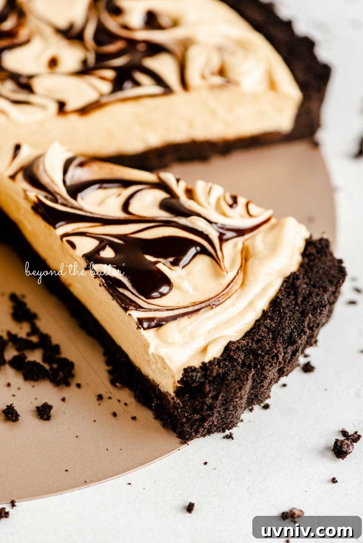 Sliced chocolate peanut butter tart swirled with chocolate syrup surrounded by a few chocolate sandwich cookie crumbs on a white speckled background.
