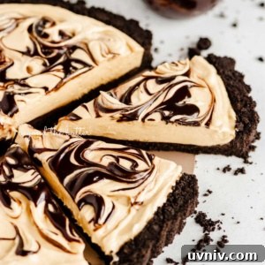 Round chocolate peanut butter tart swirled with chocolate syrup and cut into slices