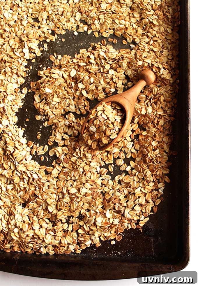 peanut butter apple granola bars. vegan/gluten free | robustrecipes.com