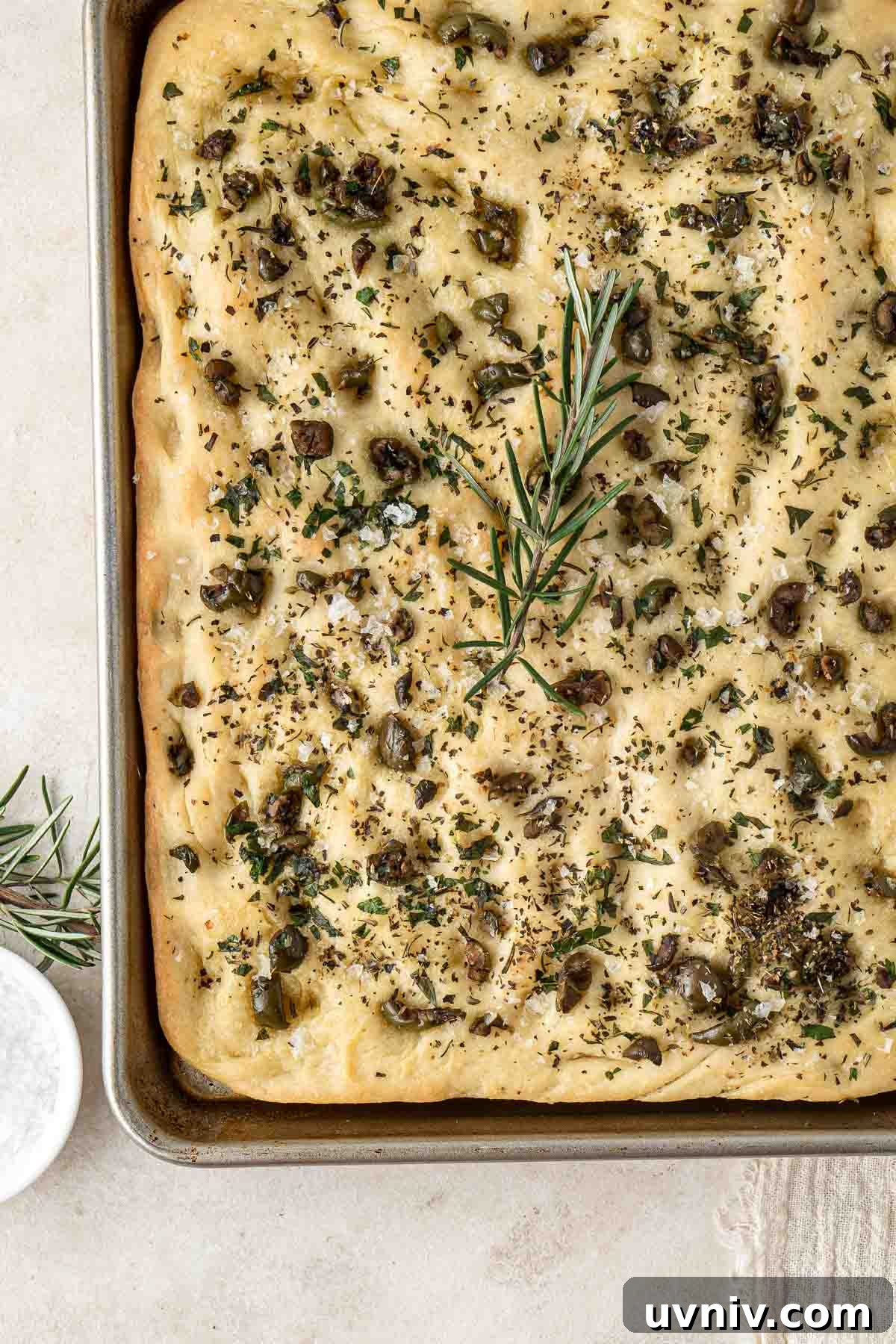 Olive & Herb Focaccia Recipe — Crispy, Flavorful Italian Bread 11 Freshly baked olive and herb focaccia.