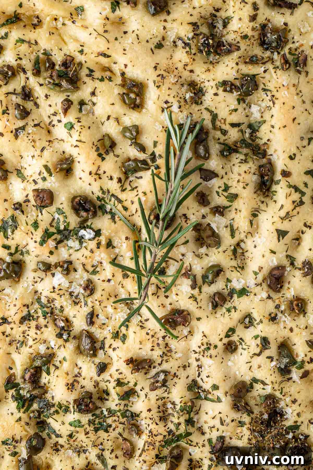Olive & Herb Focaccia Recipe — Crispy, Flavorful Italian Bread 4 Close up of the olive and herb topping of the focaccia with a sprig of rosemary.