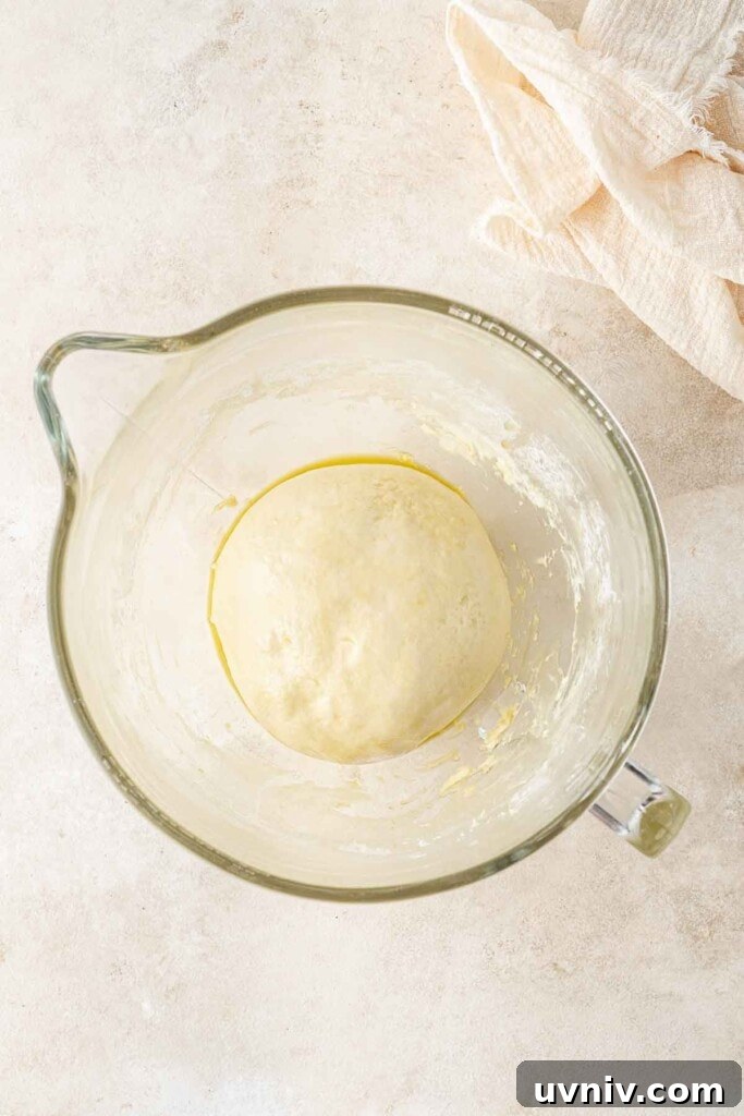 Olive & Herb Focaccia Recipe — Crispy, Flavorful Italian Bread 6 Kneaded dough ready to rise in a bowl.