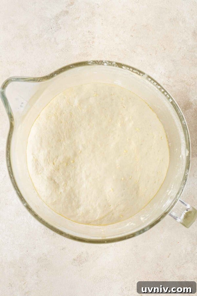 Olive & Herb Focaccia Recipe — Crispy, Flavorful Italian Bread 7 Dough having completed the first rise in the bowl of the stand mixer.
