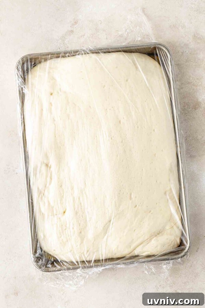 Olive & Herb Focaccia Recipe — Crispy, Flavorful Italian Bread 9 Focaccia dough in baking tray having done the second rise.