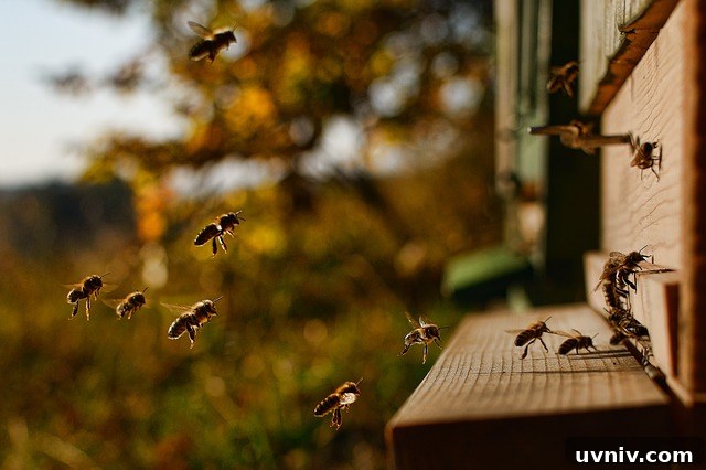 12+ Proven Ways to Earn $1,000/Month From Your Garden Year-Round 15 In theory, a circle of wood ash should be a nontoxic way to deter ants from robbing the hives. If you've tested this, I'd love to know how it went.