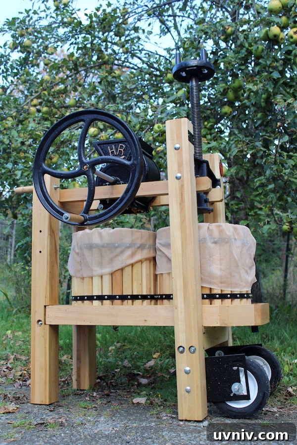 12+ Proven Ways to Earn $1,000/Month From Your Garden Year-Round 16 Double Barrel Cider Press