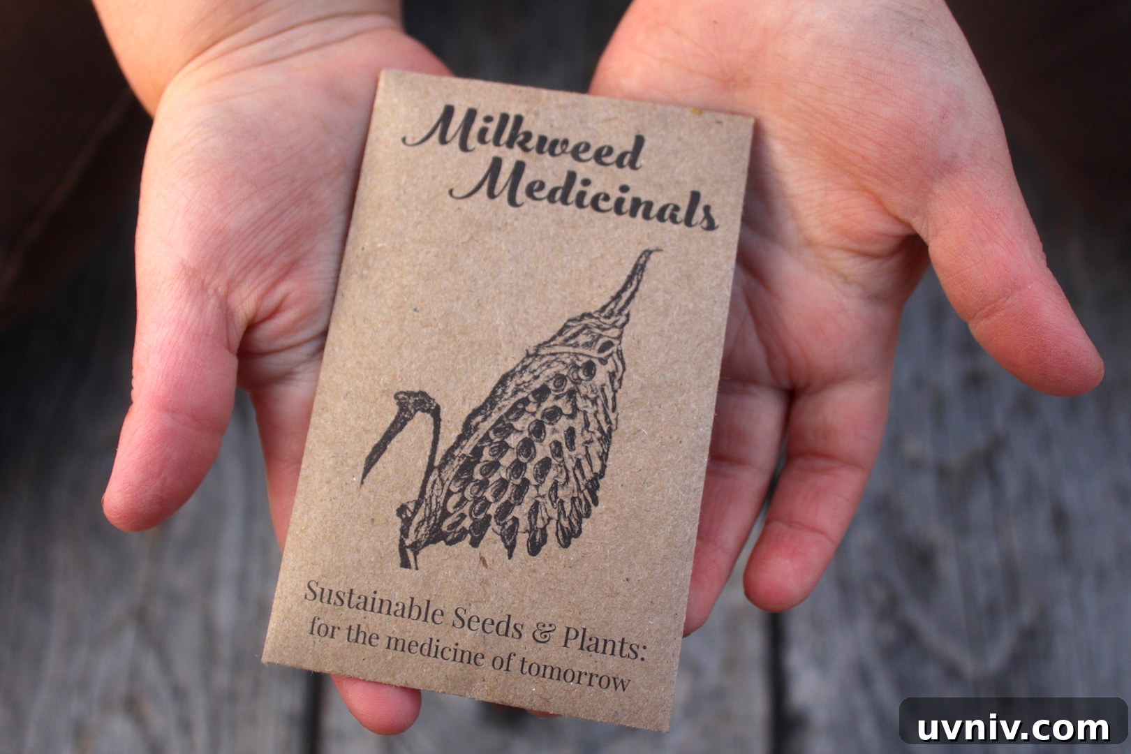 12+ Proven Ways to Earn $1,000/Month From Your Garden Year-Round 4 Milkweed Medicinals Ramp Seeds