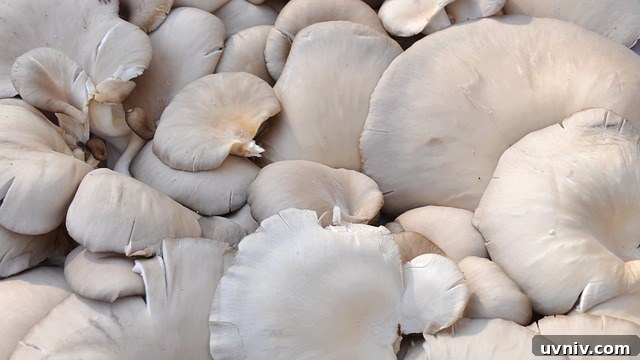 12+ Proven Ways to Earn $1,000/Month From Your Garden Year-Round 6 Oyster Mushrooms