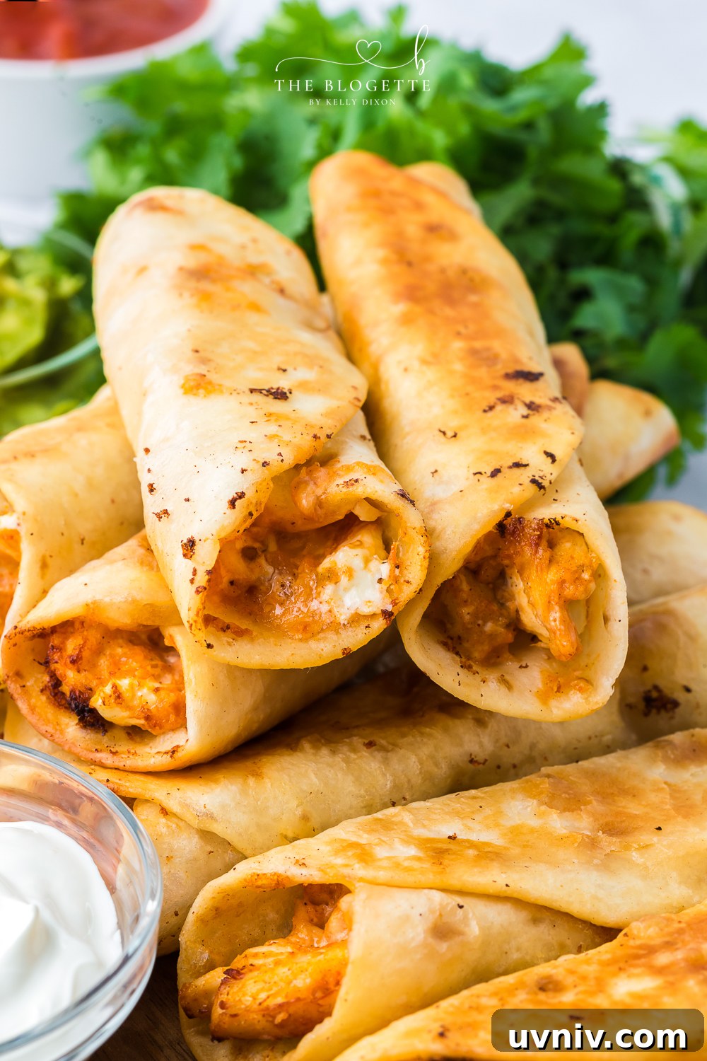 Crispy Chicken Taquitos with Tangy Salsa Recipe 3 How to make Chicken Taquitos! Gooey cheese and savory chicken with Mexican spices all rolled up in a crispy tortilla.