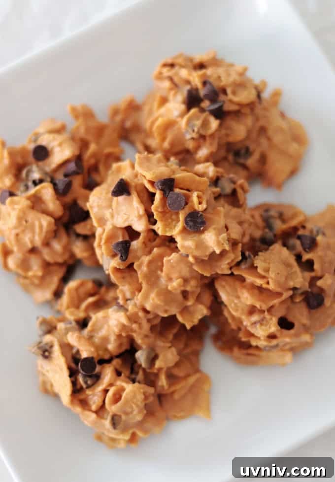 No-Bake Butterscotch Cornflake Cookies Recipe 3 plate of corn flake cookies