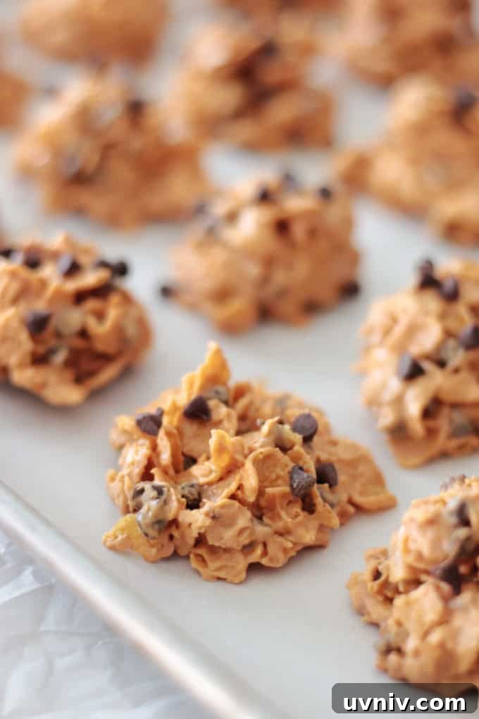 No-Bake Butterscotch Cornflake Cookies Recipe 5 butterscotch corn flake cookies on baking sheet