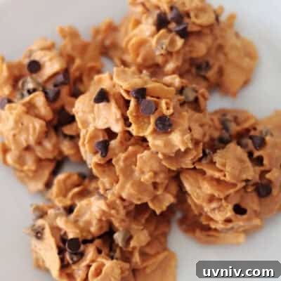 plate of corn flake cookies