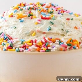 Funfetti Cake Dip Recipe — Party-Friendly Dessert Dip 11 bowl of funfetti cake dip with rainbow sprinkles
