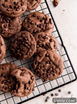 cooling rack with chocolate cake mix cookies with chocolate chips.