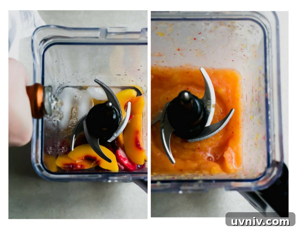 Blender with strawberries, peaches, and moscato Blender with strawberries, peaches, and moscato