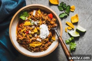 Hearty Vegetarian Chili Recipe for Flavorful Meatless Meals 8 pulled pork chili in bowl overhead horizontal