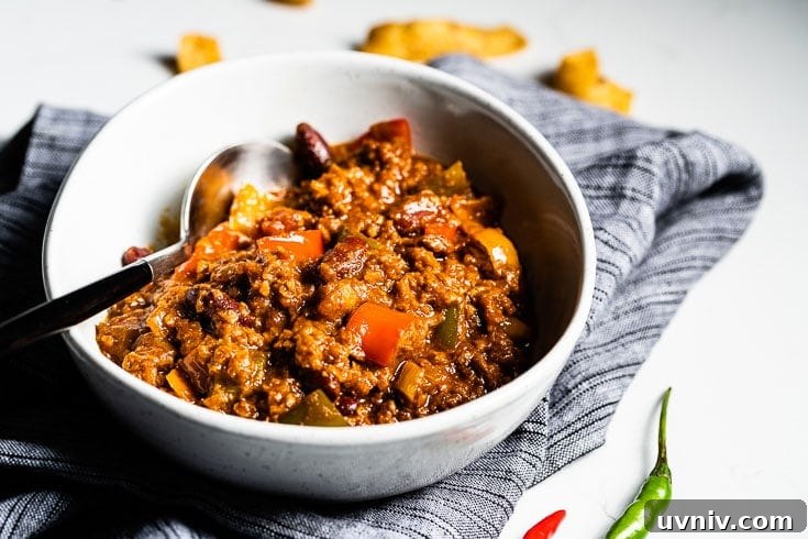 Hearty Vegetarian Chili Recipe for Flavorful Meatless Meals 11 vegetarian chili in bowl side horizontal
