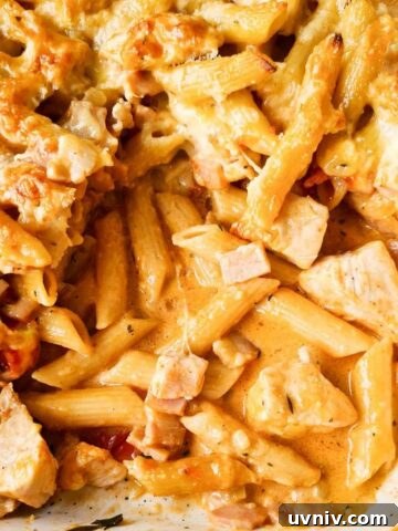Close up of creamy pasta bake
