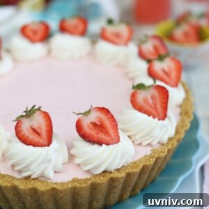 Zesty Lemon Bars: Classic Tangy Dessert Bar Recipe 21 Close up of half of a Strawberry Lemonade Ice Cream Pie.