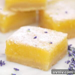 Zesty Lemon Bars: Classic Tangy Dessert Bar Recipe 8 Seven lavender lemon bars on a round white plate with a lavender flower next to them.