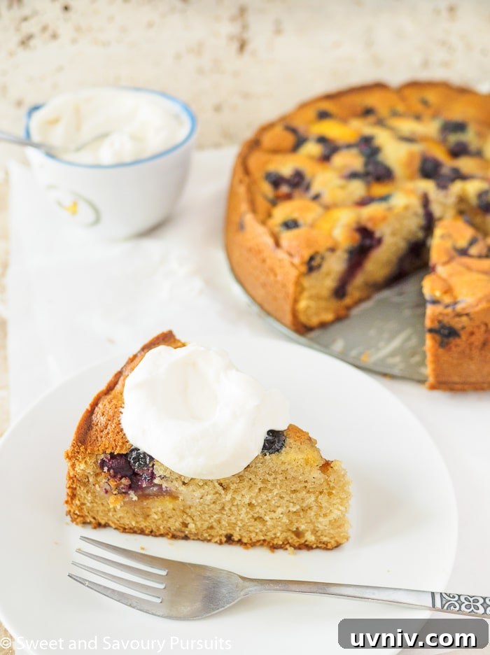Peach and Blueberry cake on a white plate with a dollop of freshly whipped cream.