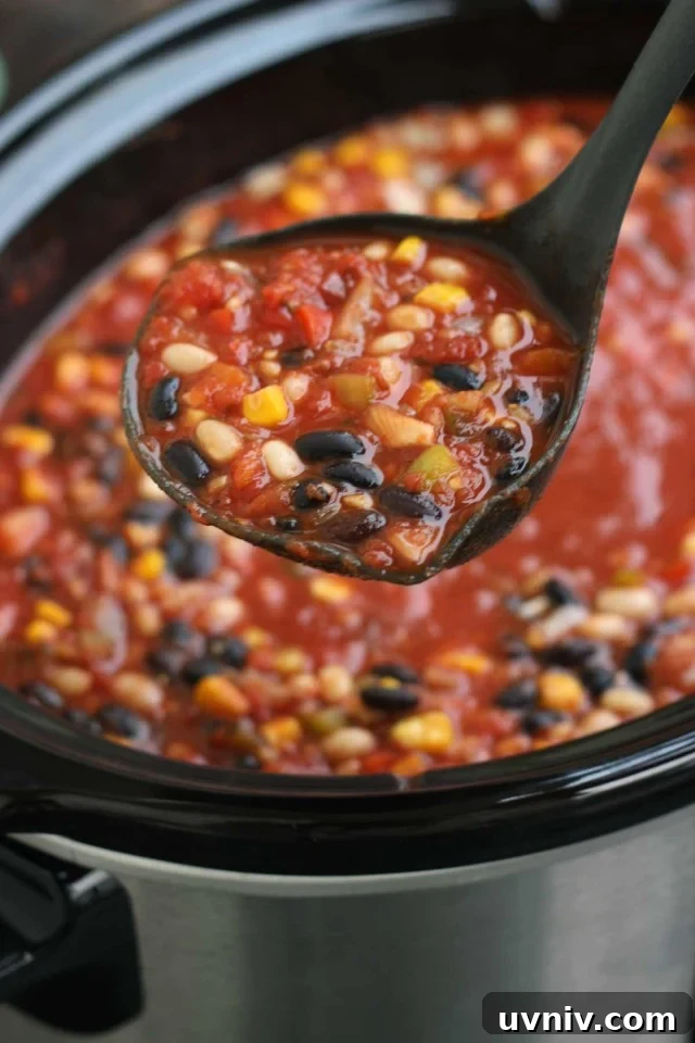 Laddle of Vegan Bean Chili
