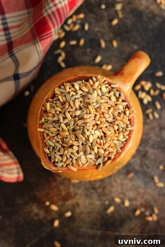 Grains in a Jug