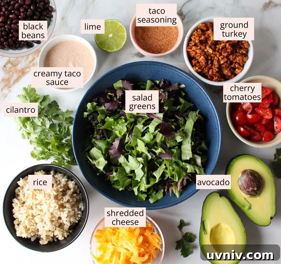 Taco Rice Bowl with Seasoned Beef, Salsa & Avocado 3 Ingredients for taco rice bowls laid out on a countertop with labels.