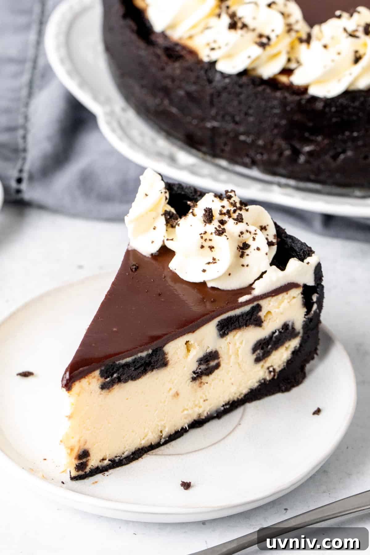 Decadent Oreo Cheesecake Recipe: Creamy Cookies & Cream Dessert 7 Slice of cookies and cream cheesecake with Oreo crust, chocolate topping and whipping cream on top
