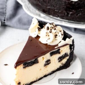 Decadent Oreo Cheesecake Recipe: Creamy Cookies & Cream Dessert 8 Slice of Oreo Cheesecake with chocolate ganache and whipped cream rosettes on top