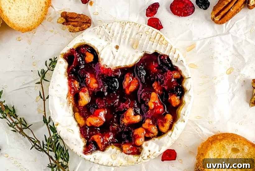 Baked Brie with Cranberries & Toasted Walnuts Recipe 5 Wheel of baked brie with a turkey cutout filled with cranberry sauce and walnuts.
