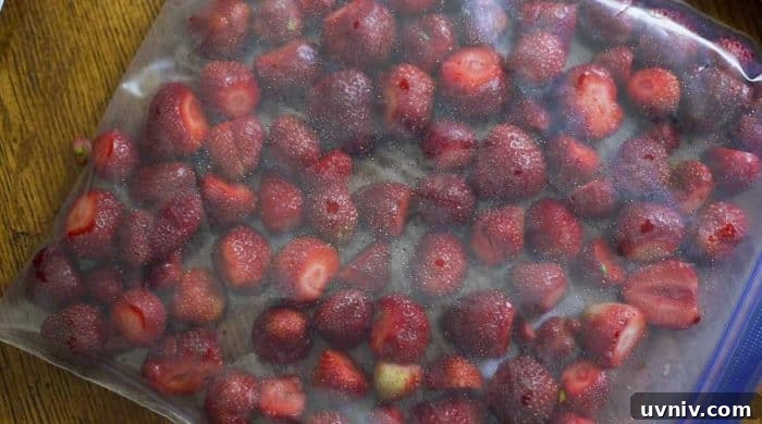 Freeze Strawberries Properly: Step-by-Step Guide for Fresh Flavor 11 raw strawberries in a freezer safe plastic bag in one layer