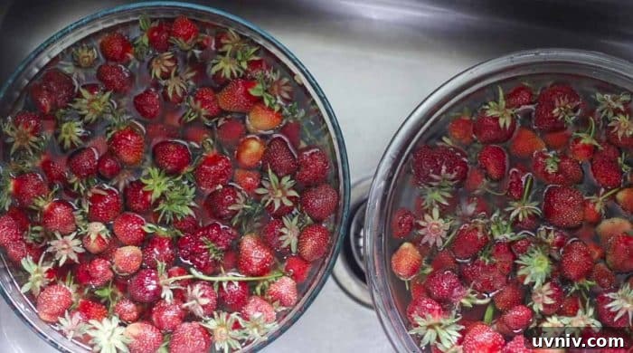 Freeze Strawberries Properly: Step-by-Step Guide for Fresh Flavor 5 two bowls of strawberries soaking in water and vinegar in a sink