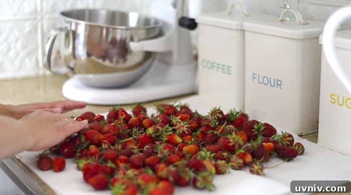 Freeze Strawberries Properly: Step-by-Step Guide for Fresh Flavor 7 strawberries air drying on a paper towel lined countertop
